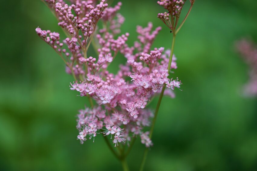 Slik tar du vare på armbåndene dine: Enkle triks for lang levetid